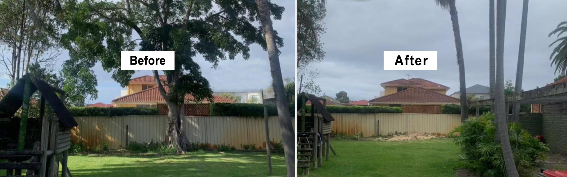 Tree Removal Sydney