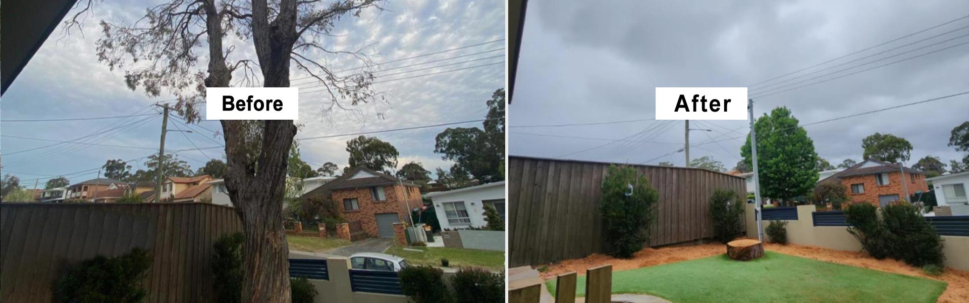 Tree Removal Sydney