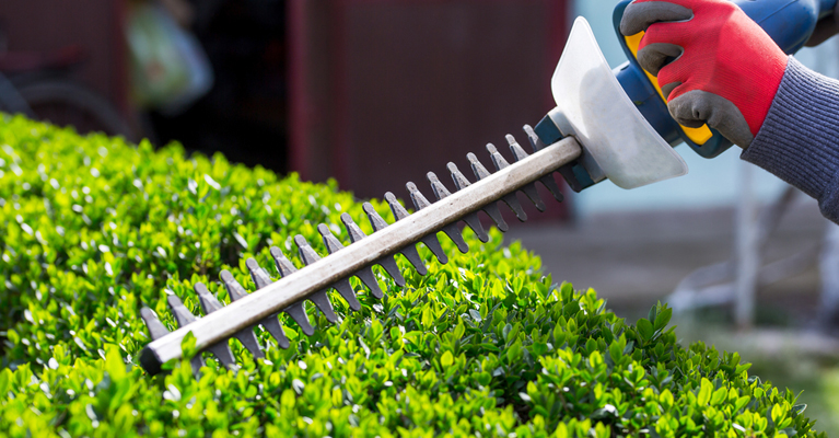 tree pruning