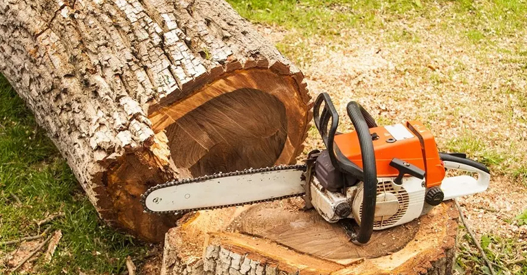 stump grinding